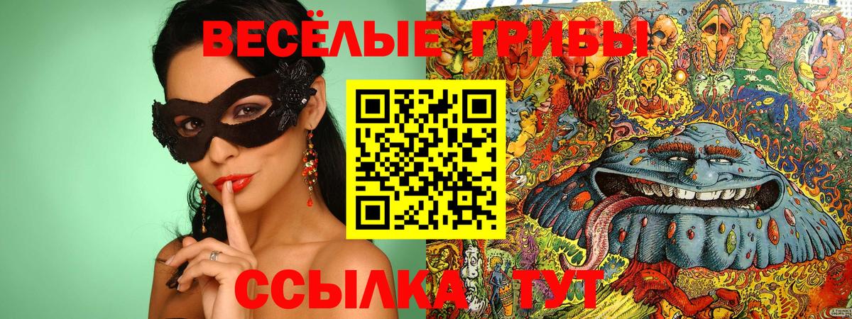 Галлюциногенные грибы Cubensis  магазин продажи наркотиков  Белгород  Галлюциногенные грибы прущие грибы  Вход с VPN 